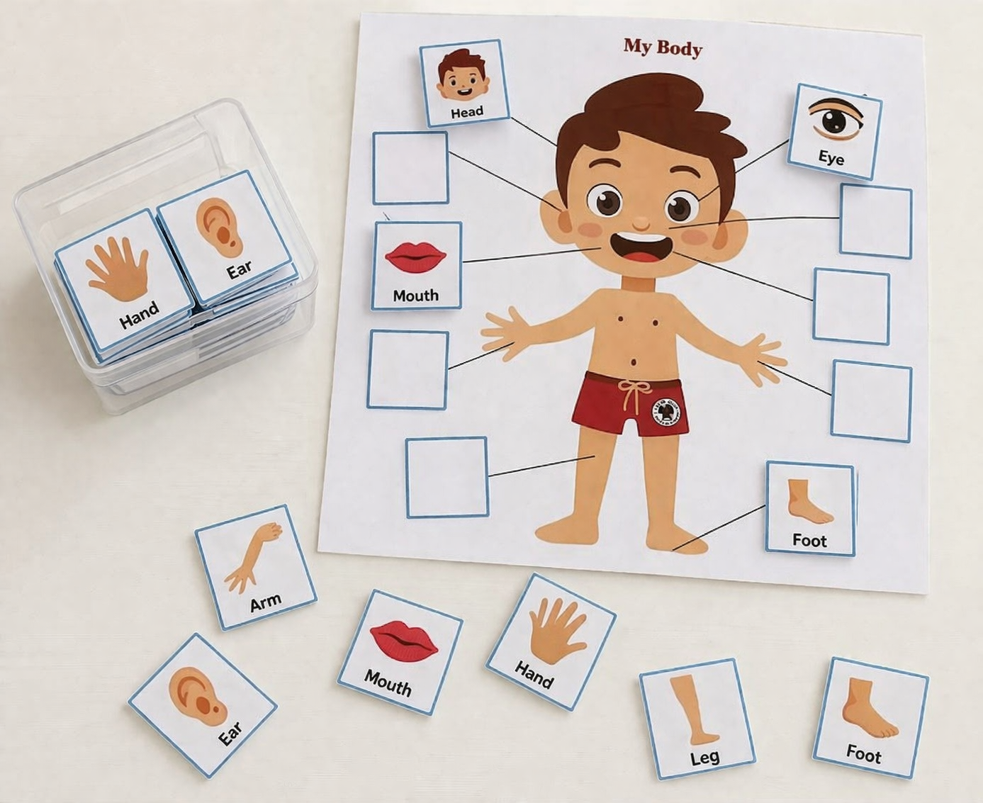 My Body Matching Activity for Kids